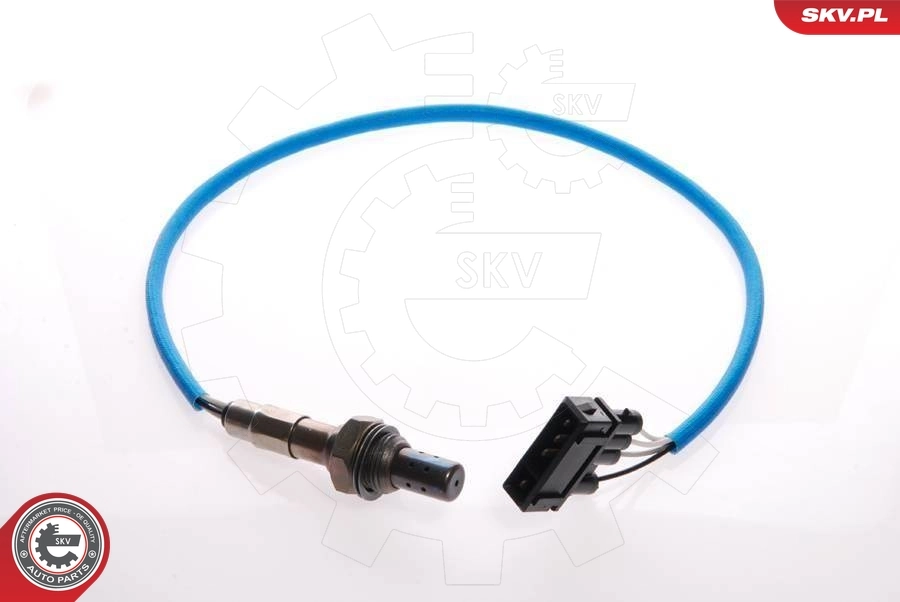 Oxygen Sensor